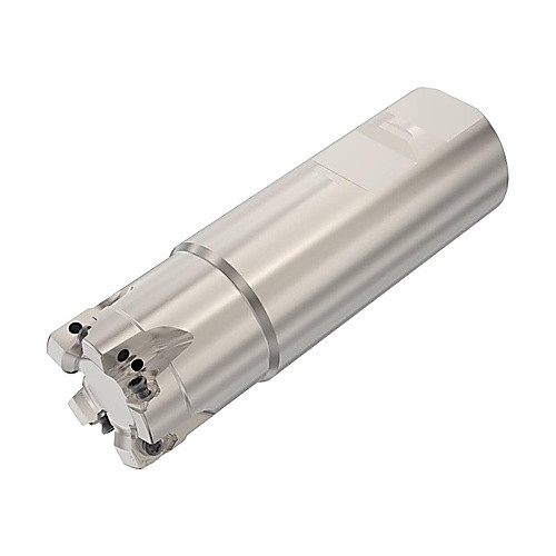 ‎R217.96-01.25-3-04-5A Square 6 Milling Cutter