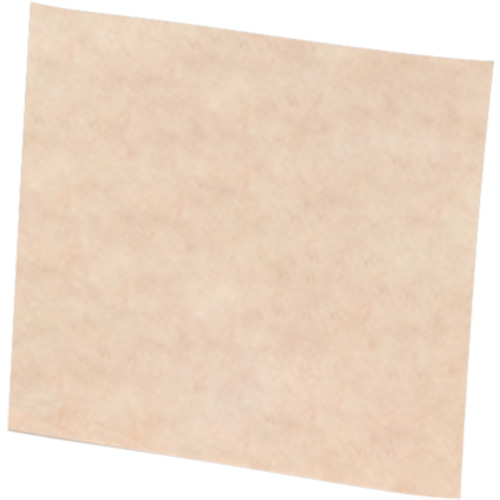 Scotch-Brite Clean and Finish Sheet 6″ × 9″